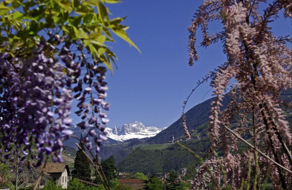 Hotel Rentschnerhof